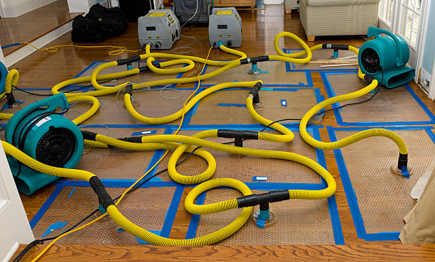 Professional Water Damage Repair technician working in Pompeii, MI